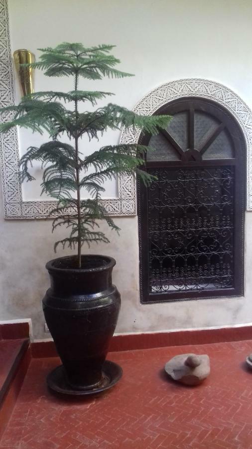 Riad Sidi Ayoub Марракеш Экстерьер фото